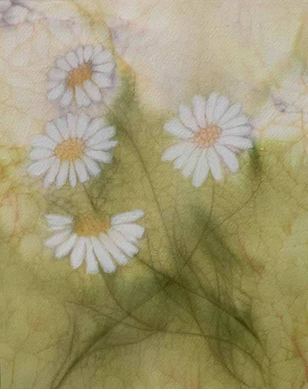 Summer Dreams by Amanda Kaye Bielby