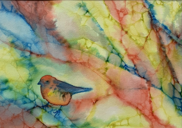 Wally World Finch by Amanda Kaye Bielby, Image 1.