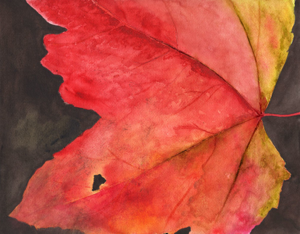 Fall Leaf by Margo Lehman