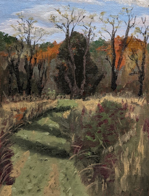 Meadow Path, Late Autumn by Margo Lehman