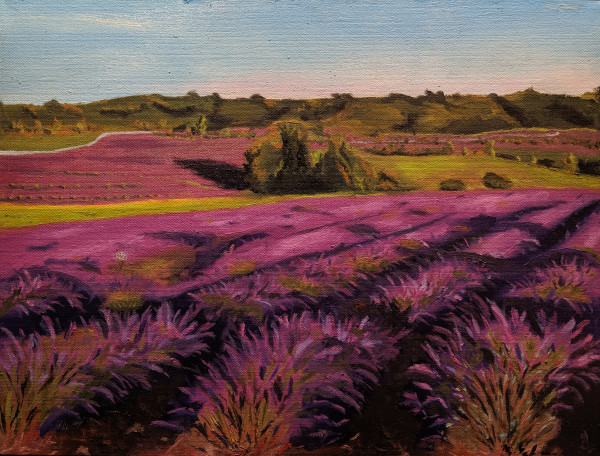 Provence at Dusk by Margo Lehman