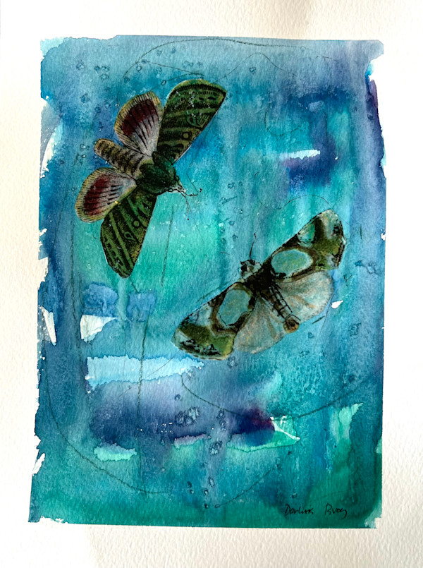 Two Butterflies by Darline Braz