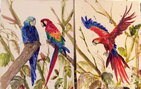 Macaws by Marina Marinopoulos