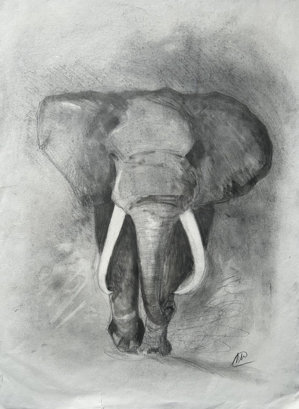 Elephant by Marina Marinopoulos