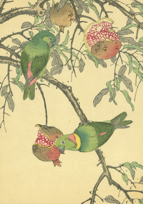 石榴和藍冠懸鸚鵡 Pomegranate and Blue-crowned Hanging Parrot by 今尾景年 Imao Keinen