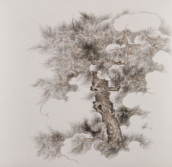 松捲殘雲  Curly Pine & Remnant Cloud by 白雨 Bai Yu