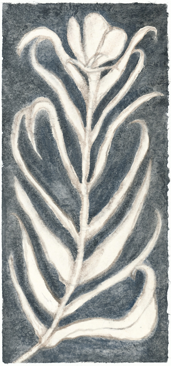 植株 I Plant I by 洪千惠 HUNG Chien Hui, Image 1.