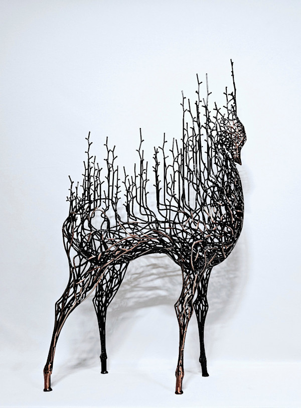 與森林共存 Forest of Coexistence 24-4 by 姜東見 KANG Dong Hyun