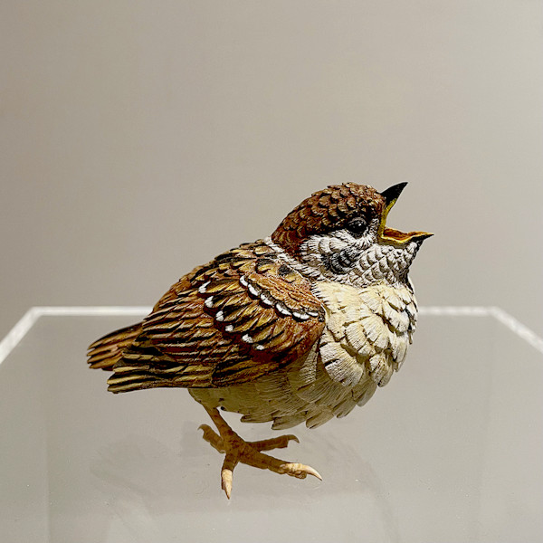 幼雀 1  Baby Sparrow 1 by 門永哲郎 TETUROU Kadonaga
