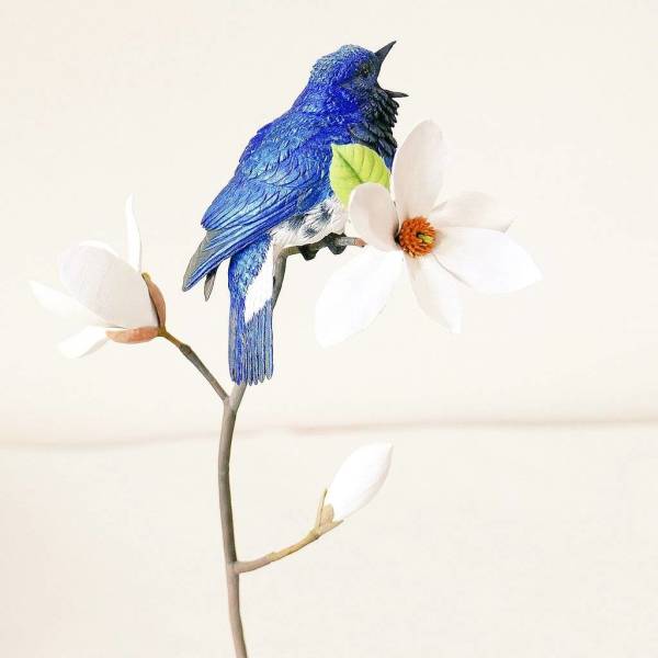 春之聲 藍與白  Blue and White Sounds of Spring by 門永哲郎 TETUROU Kadonaga