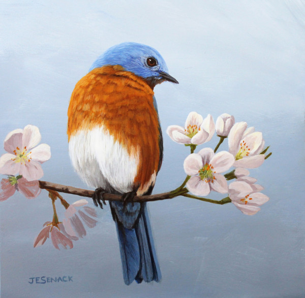 #297 - Bluebird with Cherry Blossoms by J Elaine Senack