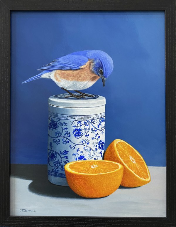 #372 Eastern Bluebird with Orange by J Elaine Senack