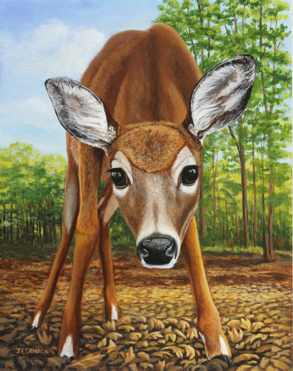 Cautiously Curious by J Elaine Senack