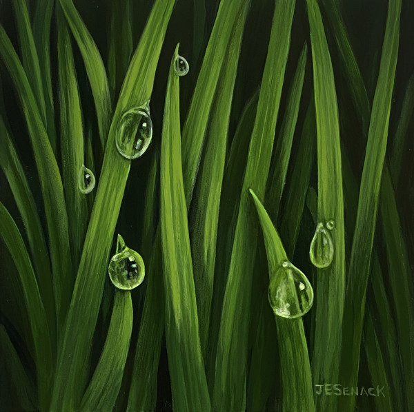 #369 Dewdrops by J Elaine Senack