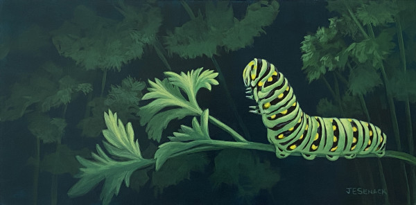 #374 Black Swallowtail Caterpillar by J Elaine Senack