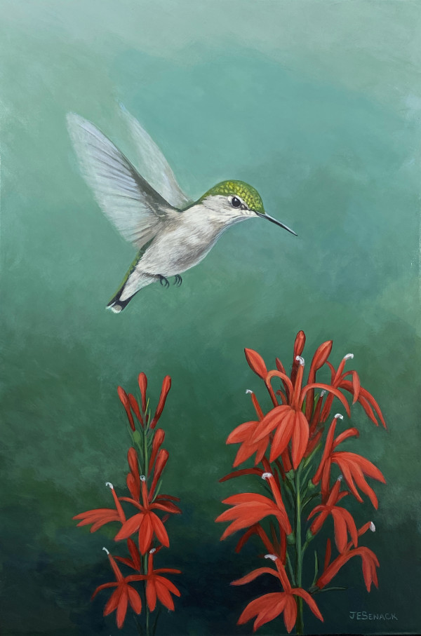 #321* Hummingbird and Cardinal Flower by J Elaine Senack
