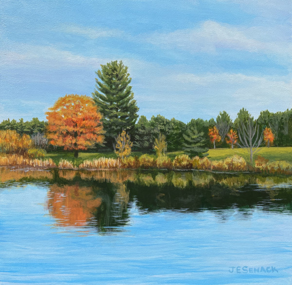 #377 Ongley Pond by J Elaine Senack