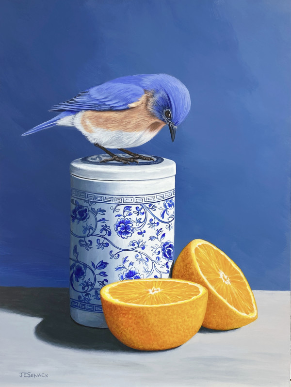 Eastern Bluebird with Orange by J Elaine Senack