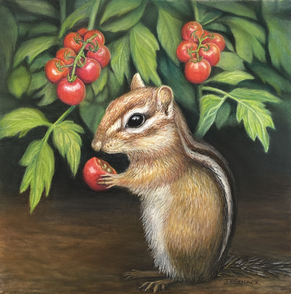 #384 Caught in the Act - Chipmunk by J Elaine Senack