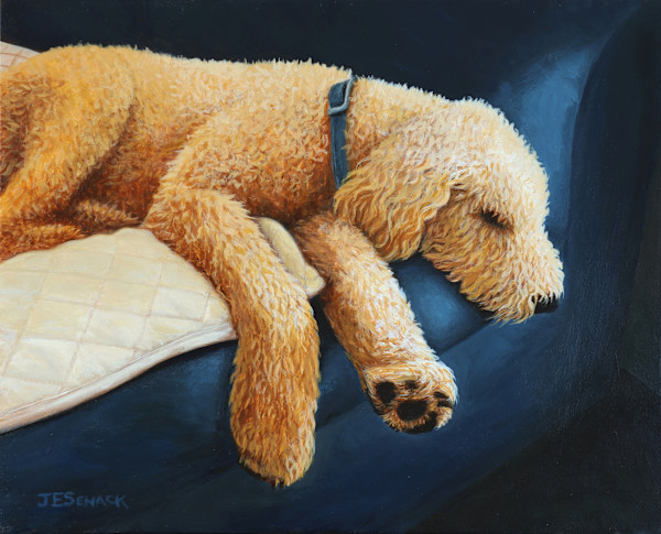 Doodle Dreams by J Elaine Senack