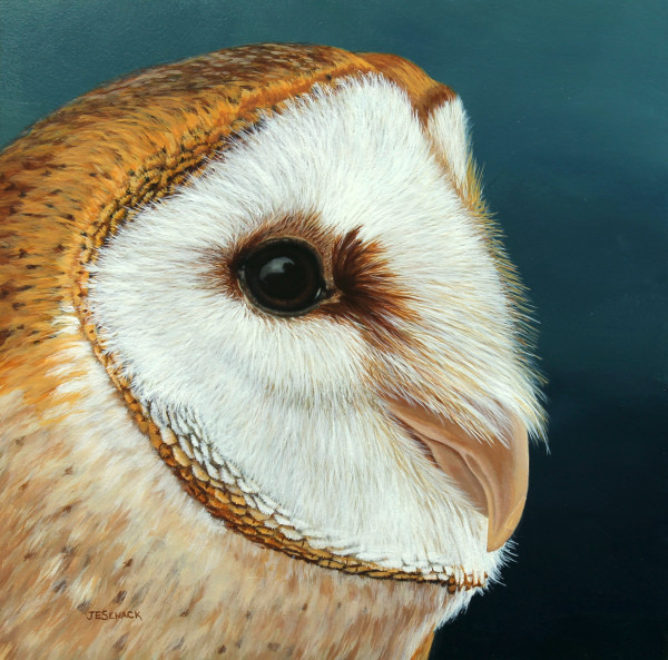 #325 Barn Owl by J Elaine Senack