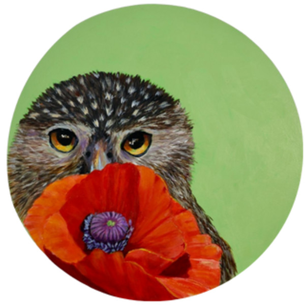 Secret Admirer by Leslie Cline