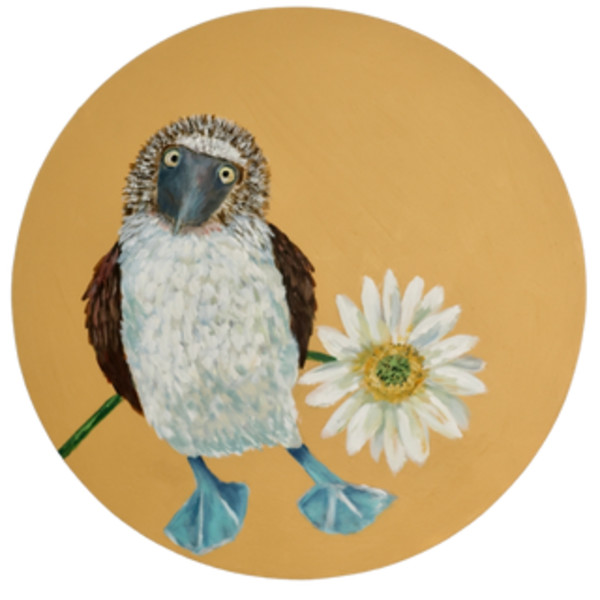 Blue Footed Booby by Leslie Cline