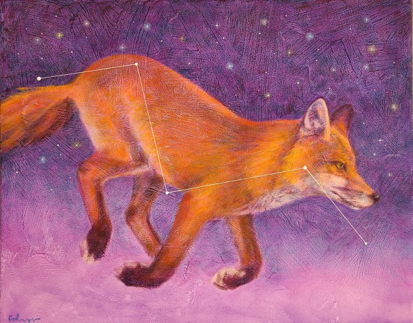 Constellation Vulpecula by Lisa Bohnwagner