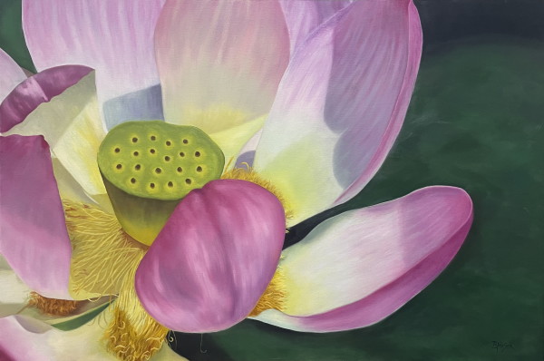 Luminous Lotus by Barbara Teusink