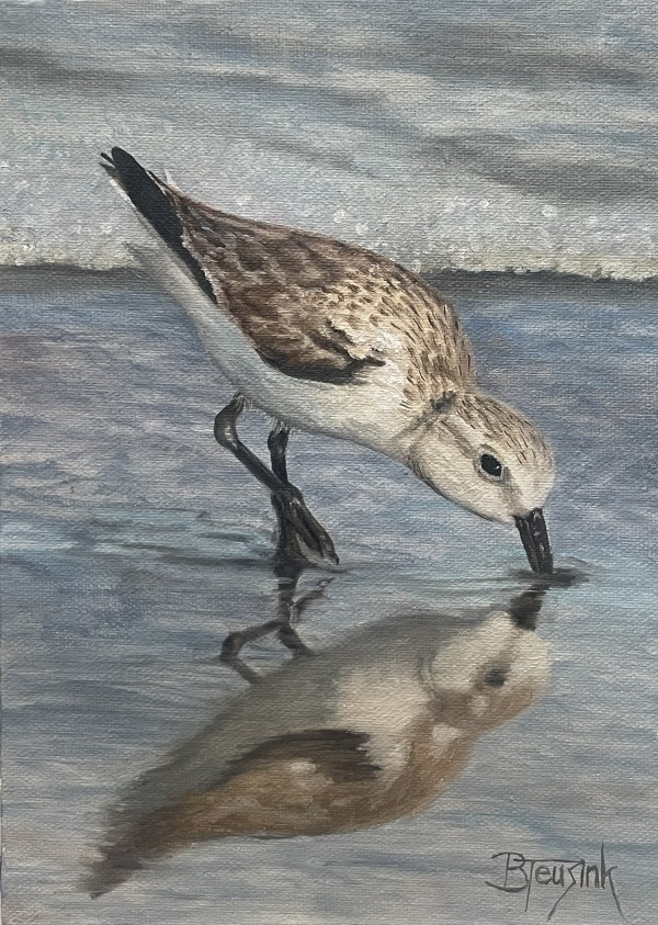 Sandpiper Reflections by Barbara Teusink