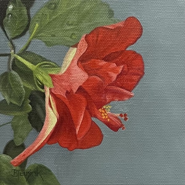 Hanging Red Hibiscus by Barbara Teusink