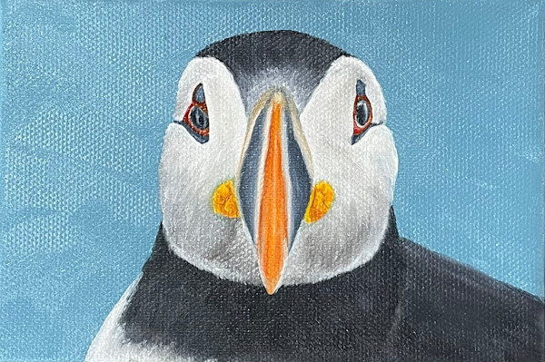 Puffin Postcard by Barbara Teusink
