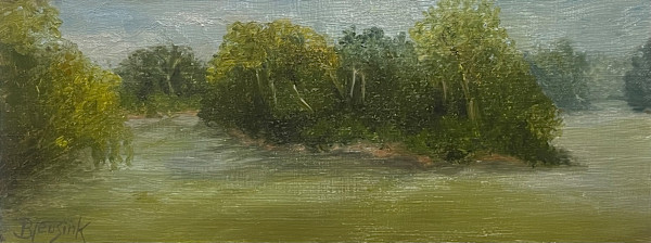 Broad River Mini by Barbara Teusink