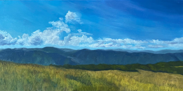 The Bald View by Barbara Teusink