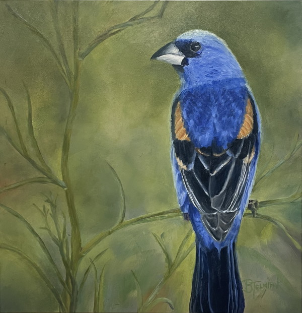 Blue Grosbeak by Barbara Teusink