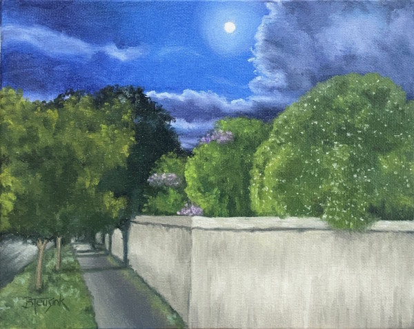 Nocturnal Walls by Barbara Teusink