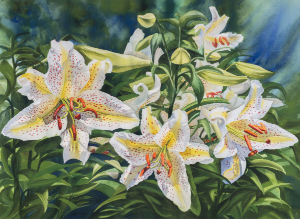 Lilies by Leanne Hanson