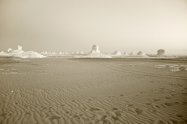 The White Desert by Susan Moldenhauer, Image 2.