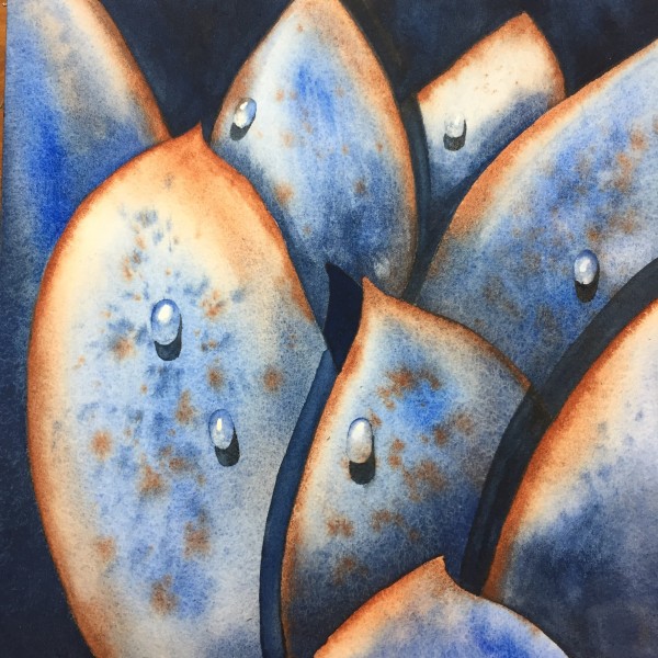 Succulent in Blue by Sheryl L Brake