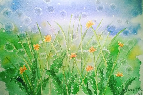 Make a Wish by Sheryl L Brake