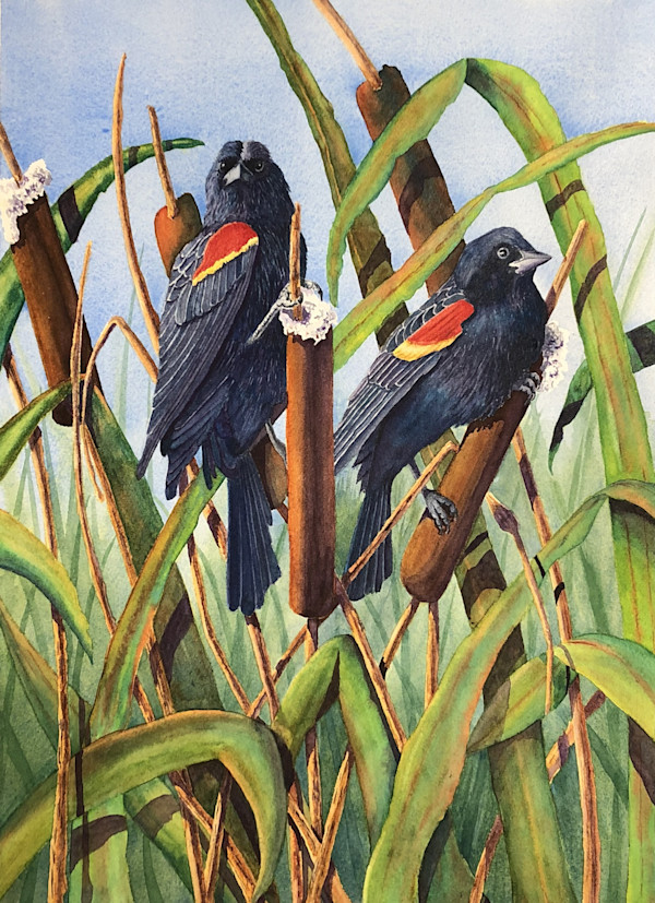 Cattail Companions by Sheryl L Brake, Image 1.