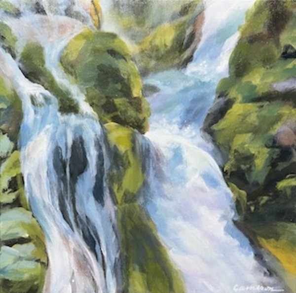 Panther Creek Falls by Patrice Cameron