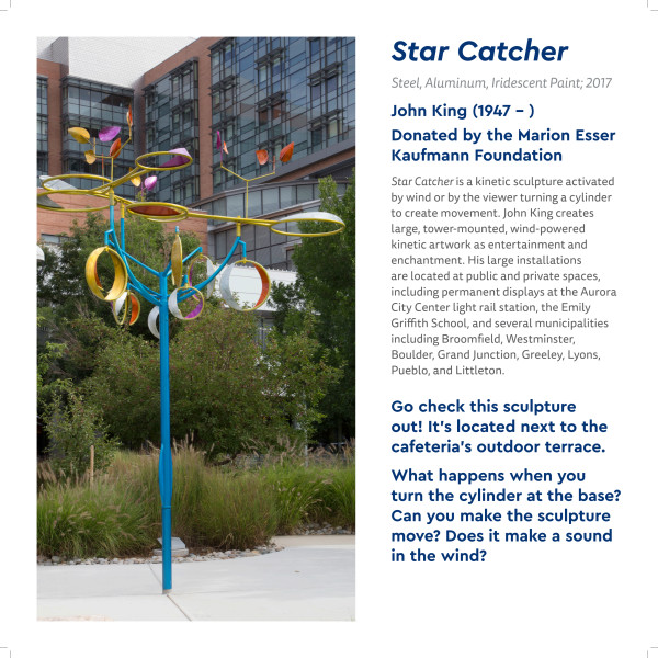 Star Catcher by John King