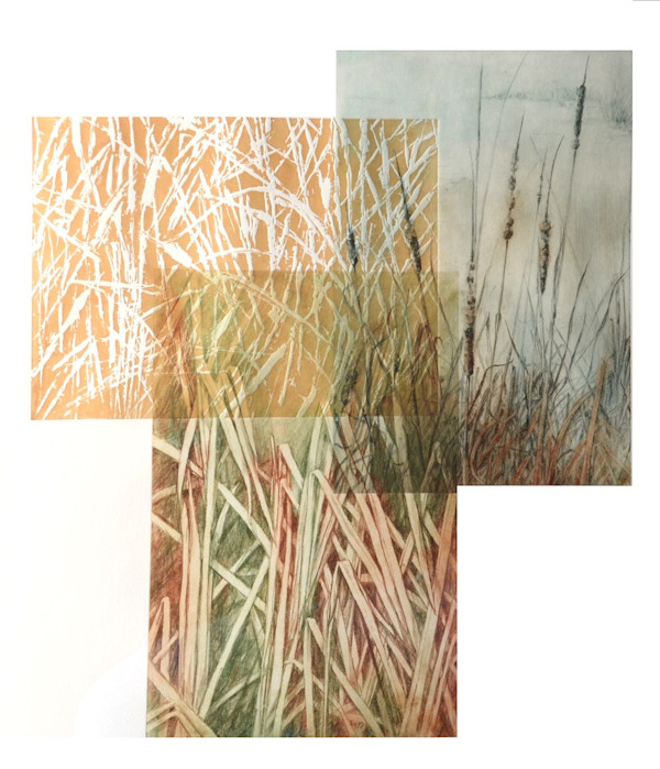 Cattail Pond 1/1 by Carol Till, Image 1.