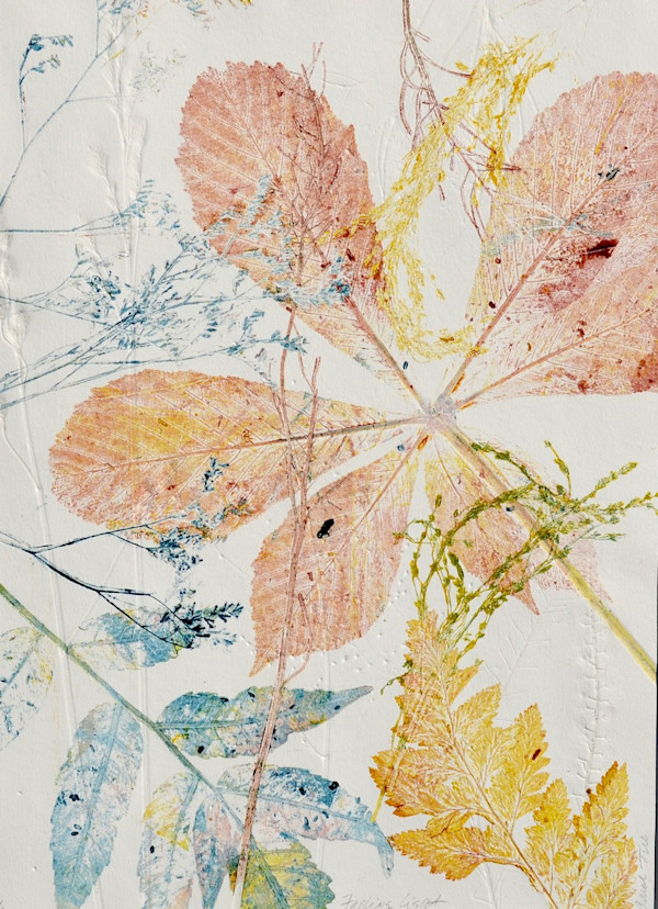Fading Light 1/1 by Carol Till