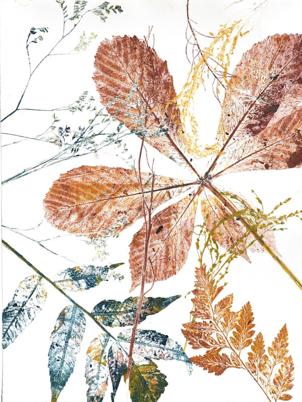 Horsechestnut 1/1 by Carol Till