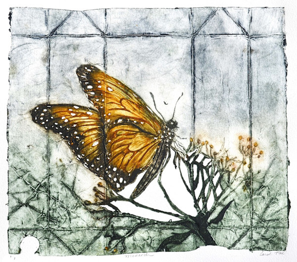 Monarch 1/1 by Carol Till