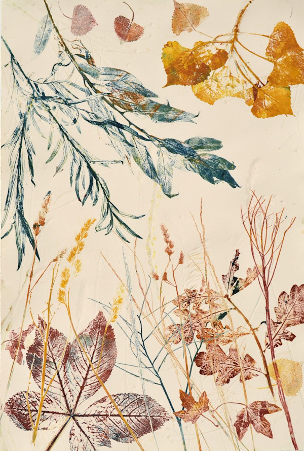 Native Trees 1/1 by Carol Till