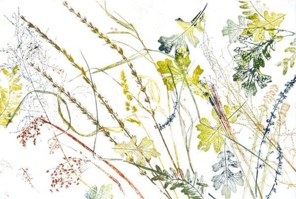 Summer Oaks 1/1 by Carol Till