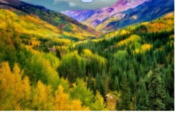 Colorado Splender by Unknown